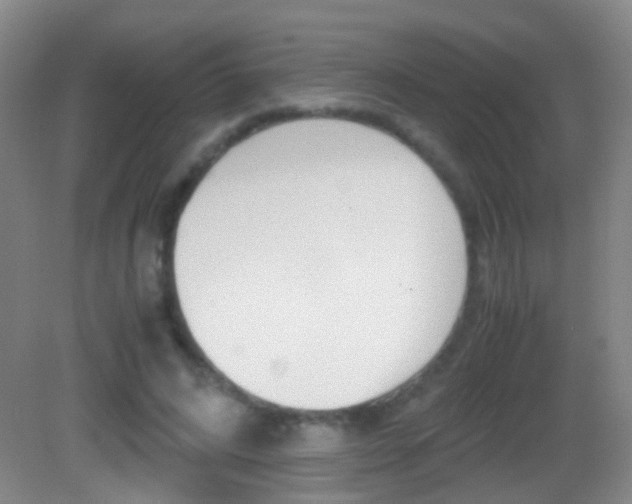 X0000083060592200702021038