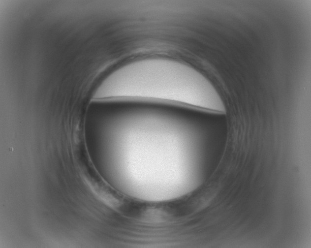 X0000083060596200702021038