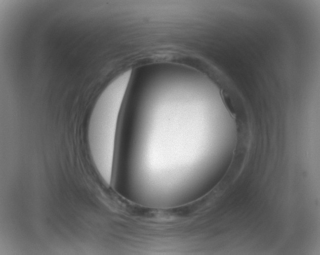X0000083060601200702021038
