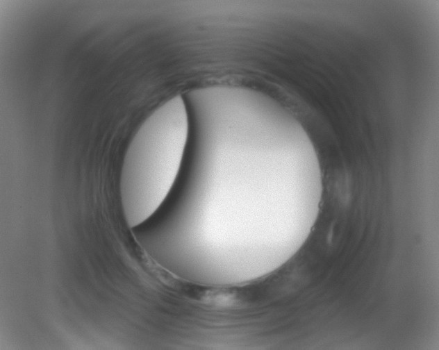 X0000083060602200702021038