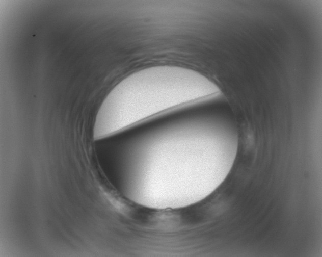 X0000083060619200702021037