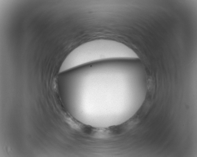 X0000083060621200702021037