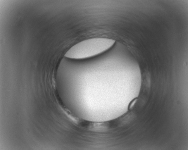 X0000083060622200702021037