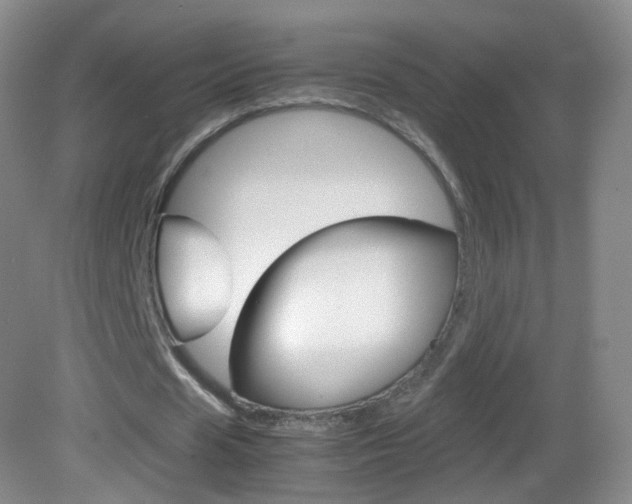 X0000083060625200702021037