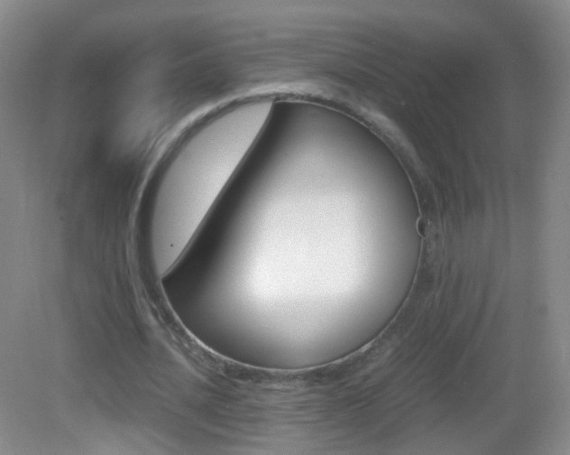 X0000083060628200702021037