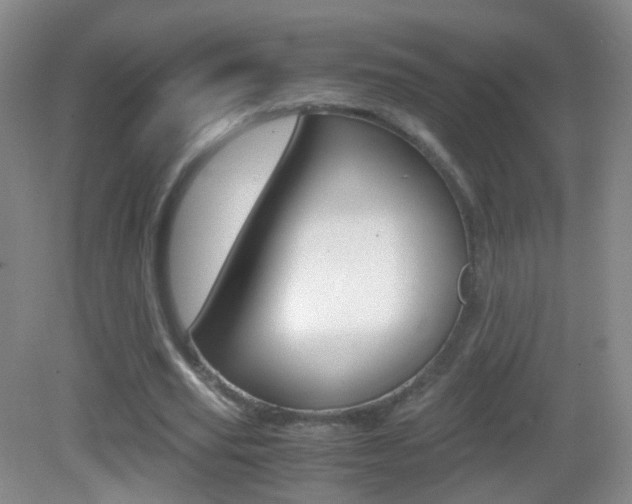 X0000083060629200702021037