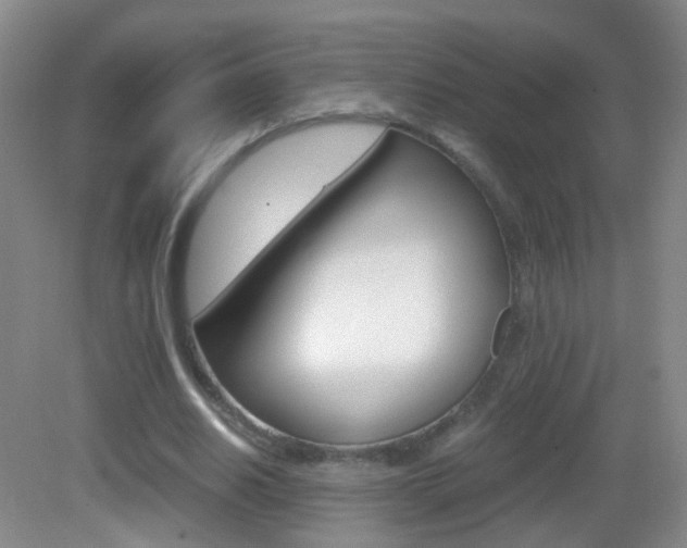X0000083060630200702021037
