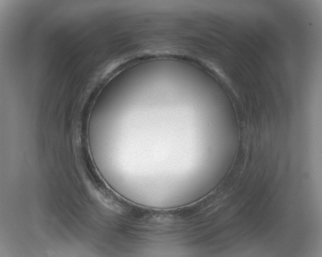 X0000083060631200702021037
