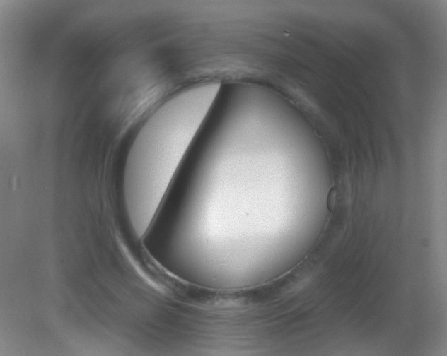 X0000083060638200702021037