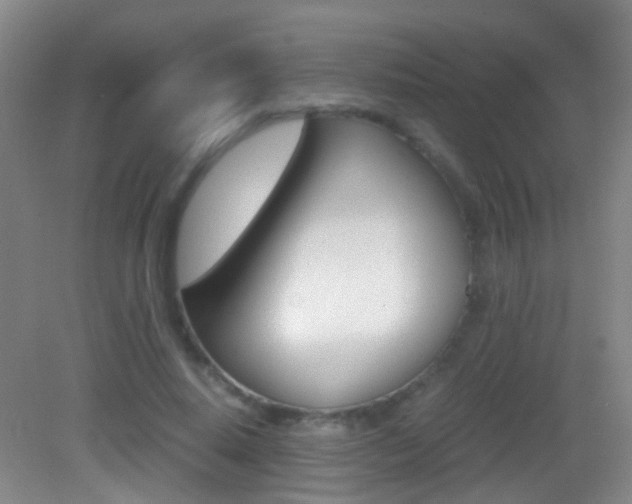X0000083060640200702021037