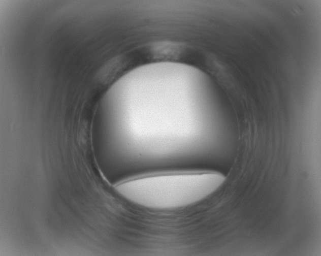 X0000083060649200702021037