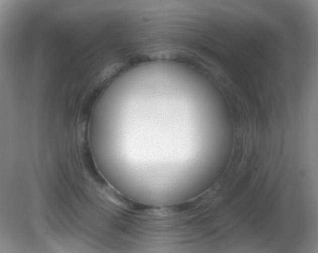 X0000083060652200702021037