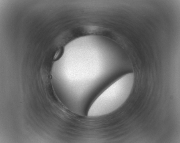 X0000083060653200702021037