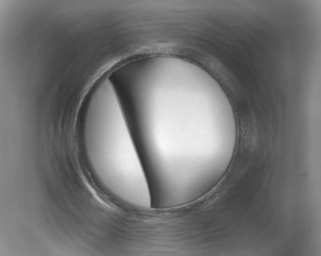 X0000083060674200702021037