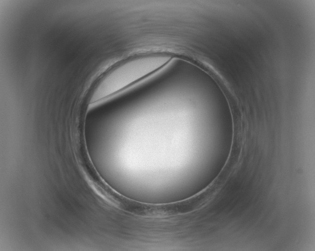 X0000083060677200702021036