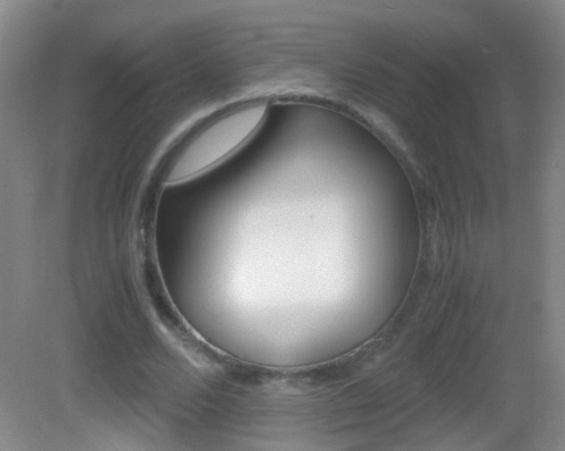 X0000083060680200702021036