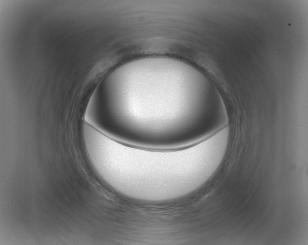 X0000083060681200702021036