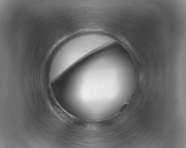 X0000083060684200702021036