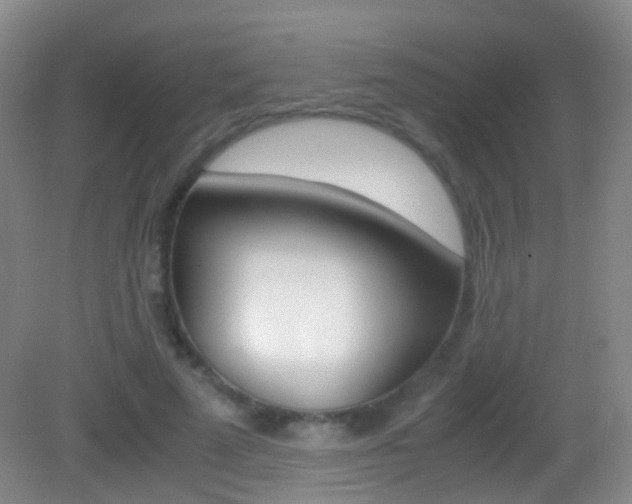 X0000083060689200702021036