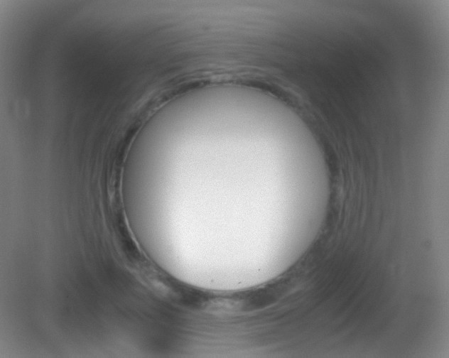 X0000083060691200702021036