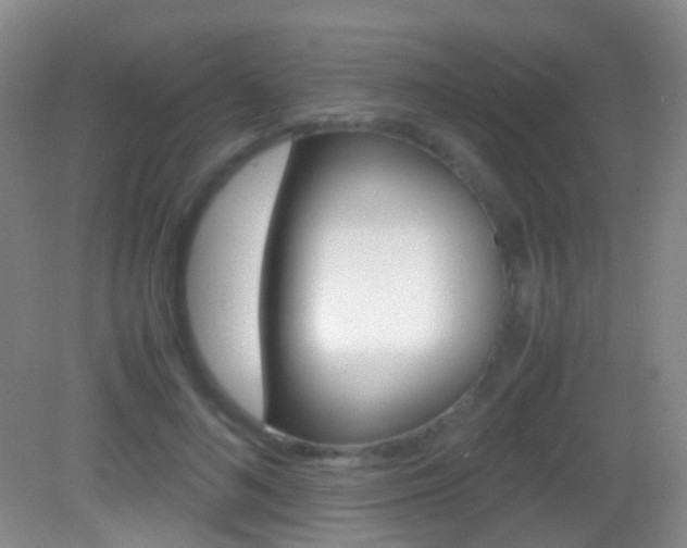 X0000083060692200702021036