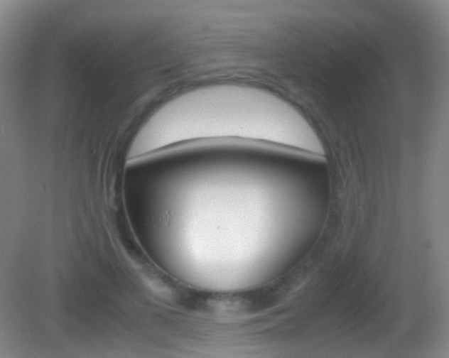 X0000083060693200702021036