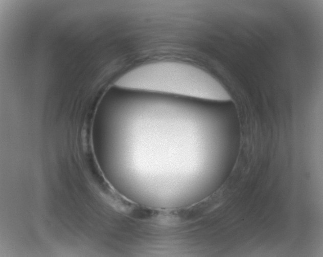 X0000083060696200702021036