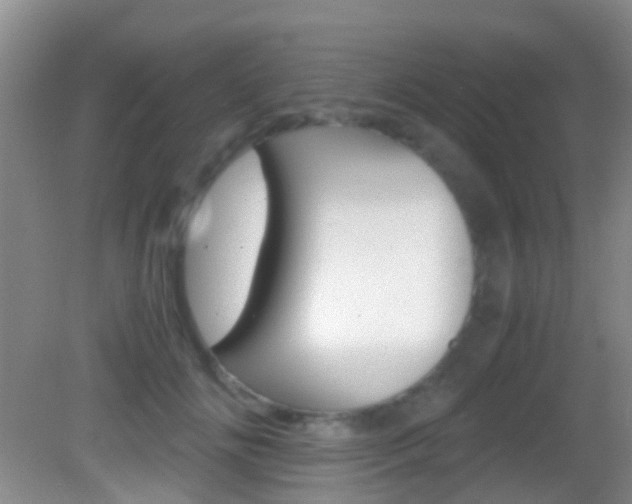 X0000083060702200702021036