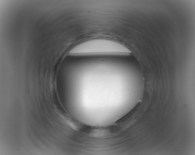 X0000083060708200702021036