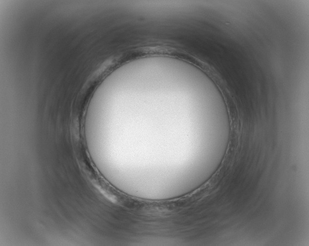 X0000083060729200702021035