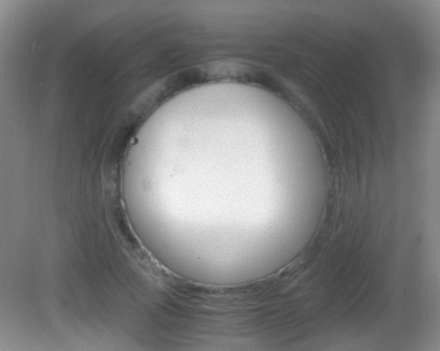 X0000083060737200702021035