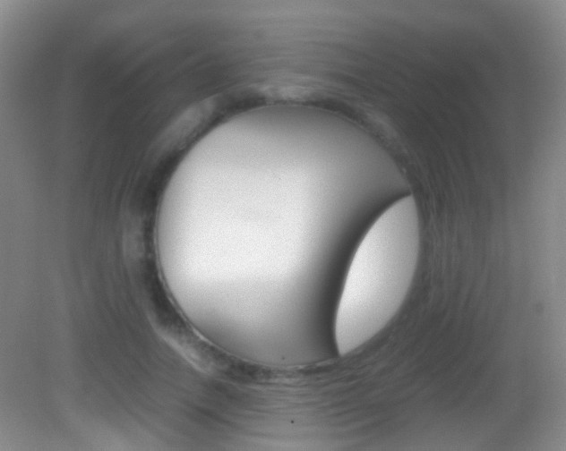 X0000083060738200702021035