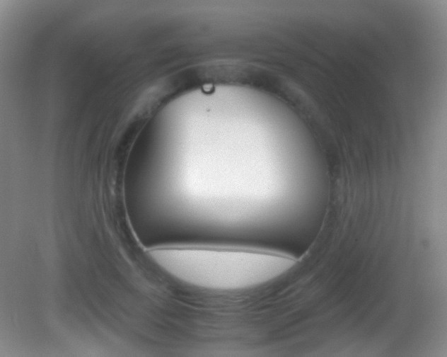X0000083060739200702021035
