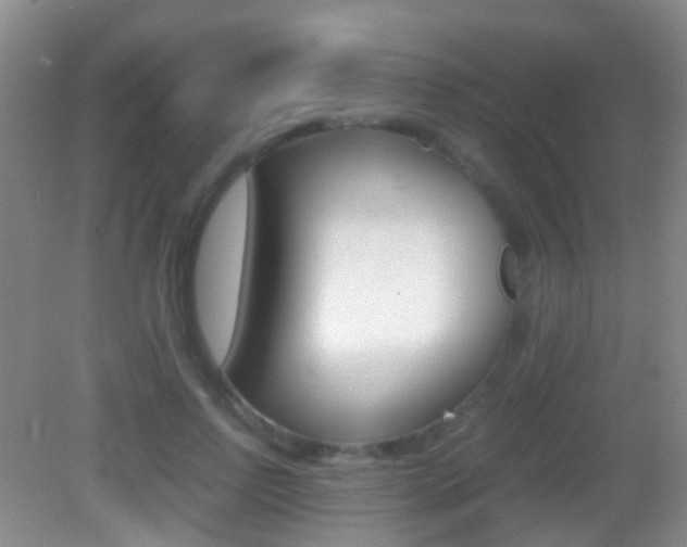 X0000083060742200702021035
