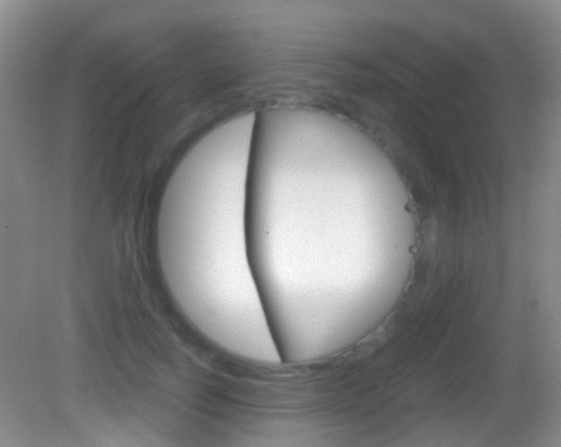 X0000083060746200702021035