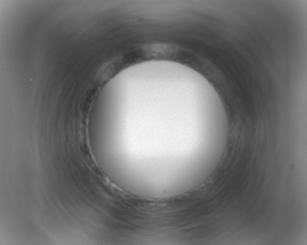 X0000083060749200702021035