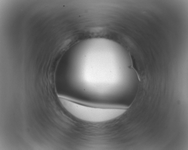 X0000083060756200702021036