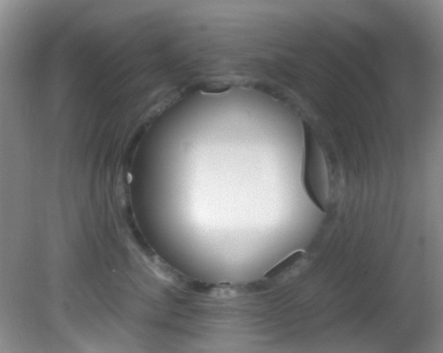 X0000083060764200702021036