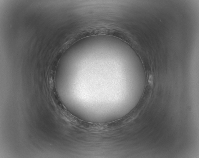 X0000083060771200702021035