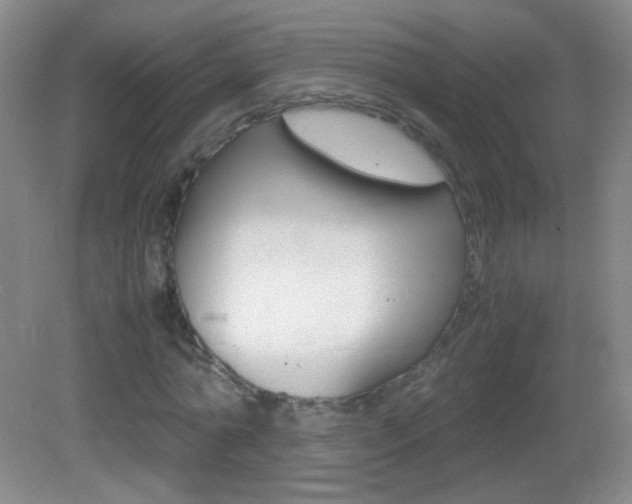 X0000083060774200702021035