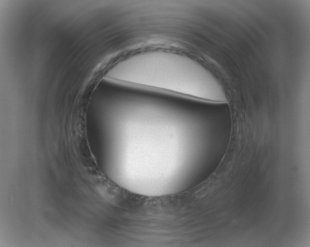 X0000083060776200702021035