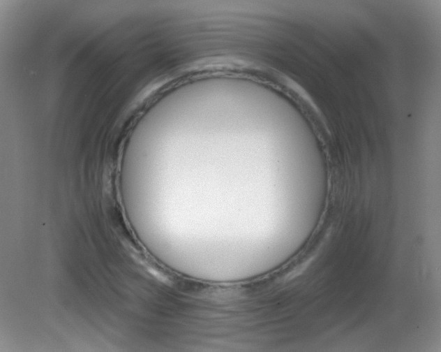 X0000083060778200702021035