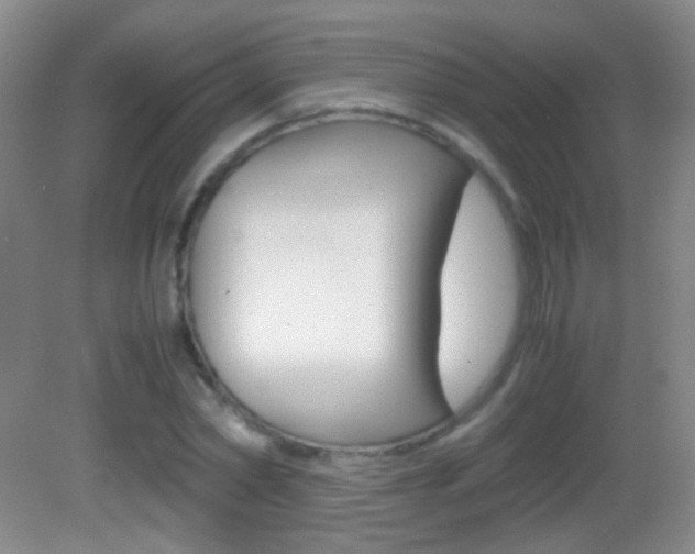 X0000083060782200702021035