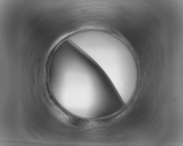 X0000083060787200702021035