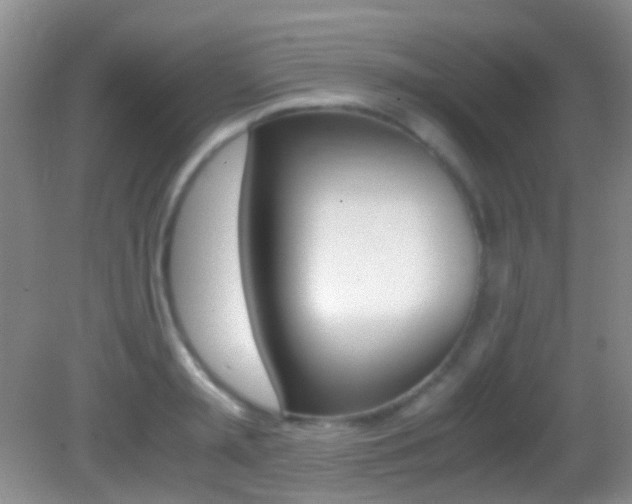 X0000083060797200702021034