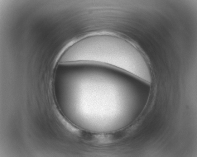 X0000083060805200702021034