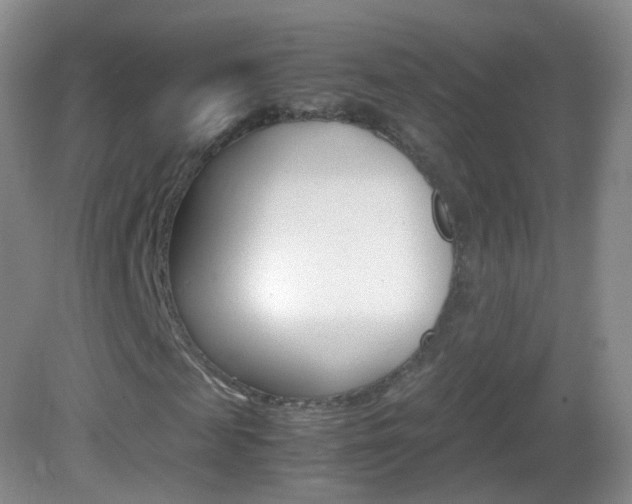 X0000083060817200702021033