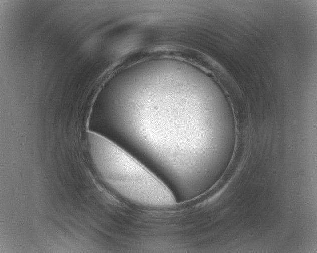 X0000083060825200702021033