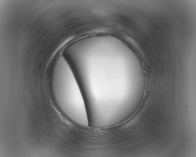 X0000083060827200702021033