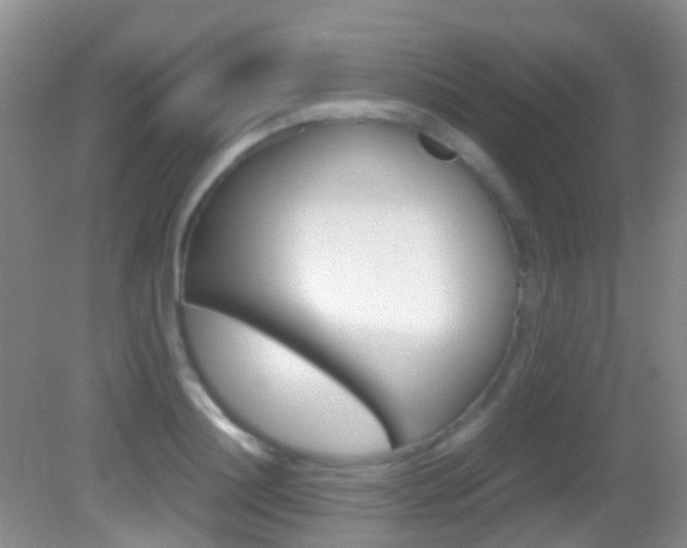 X0000083060844200702021034